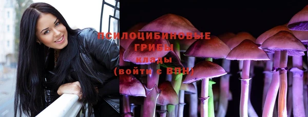 таблы Надым