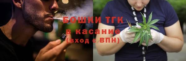 индика Навашино