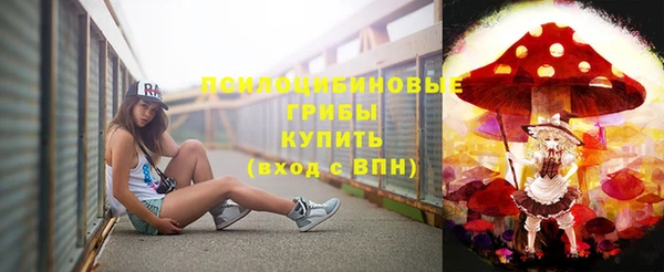 индика Навашино